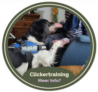 Clickertraining diergedragstherapie